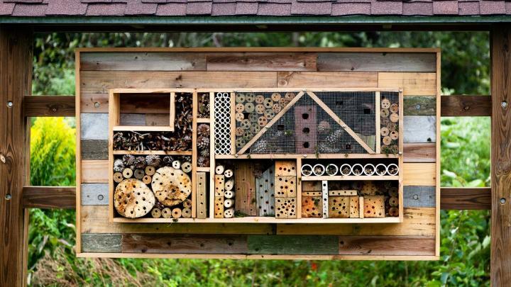 Insekthotel